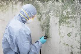 Best Air Quality Testing for Mold Spores in Crane, TX